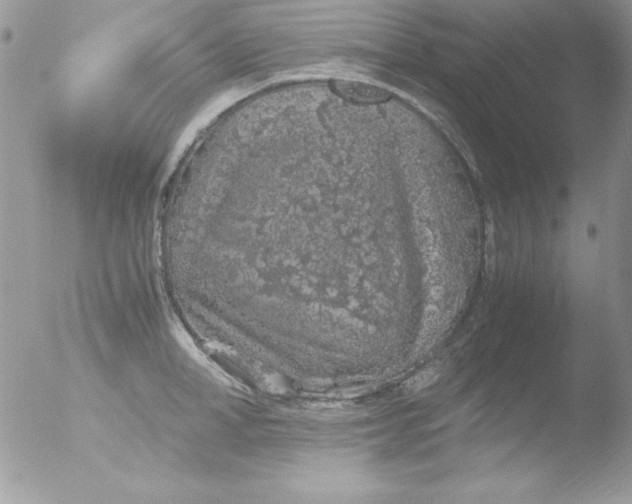 X0000051880998200507151907