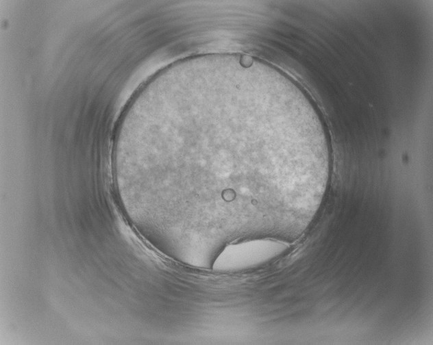 X0000051881000200507151907