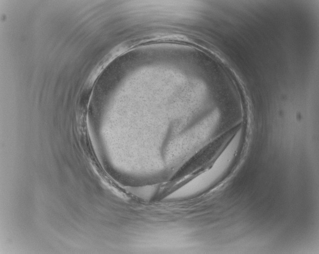 X0000051881001200507151907