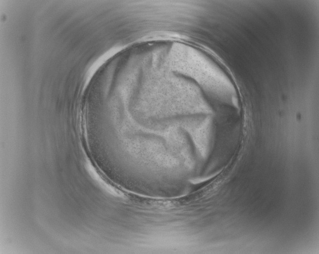 X0000051881003200507151907