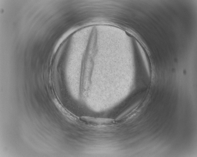 X0000051881004200507151907