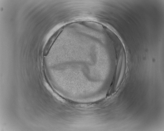 X0000051881005200507151907