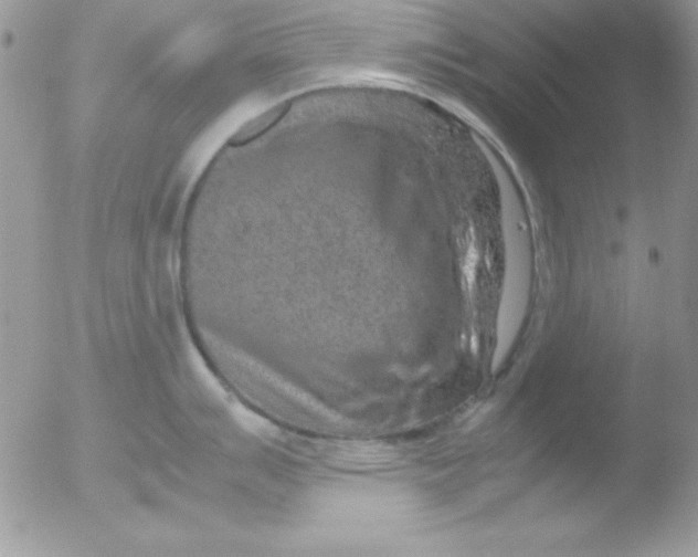 X0000051881007200507151907