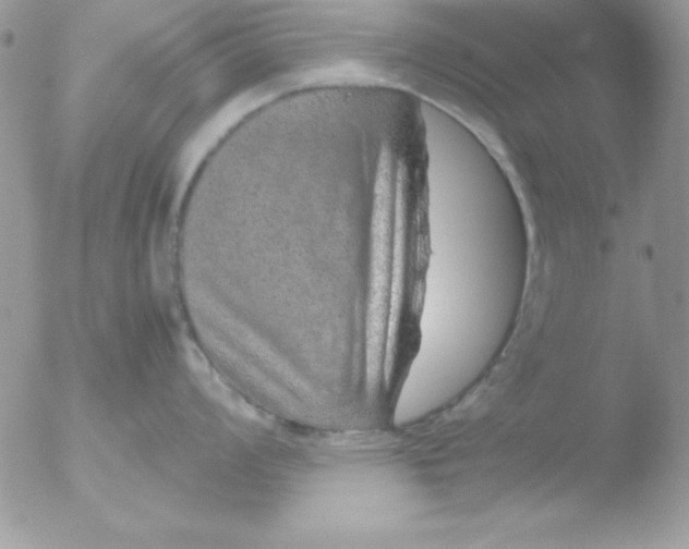 X0000051881008200507151907