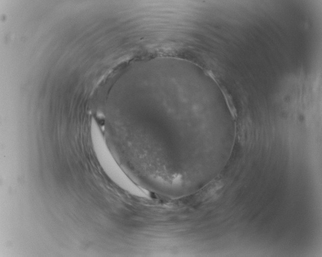 X0000051881010200507151906