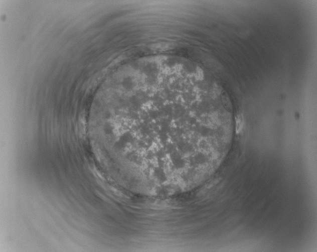 X0000051881011200507151907