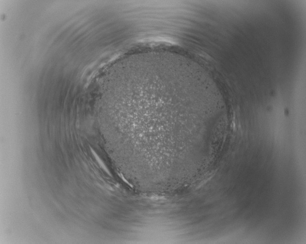 X0000051881014200507151907