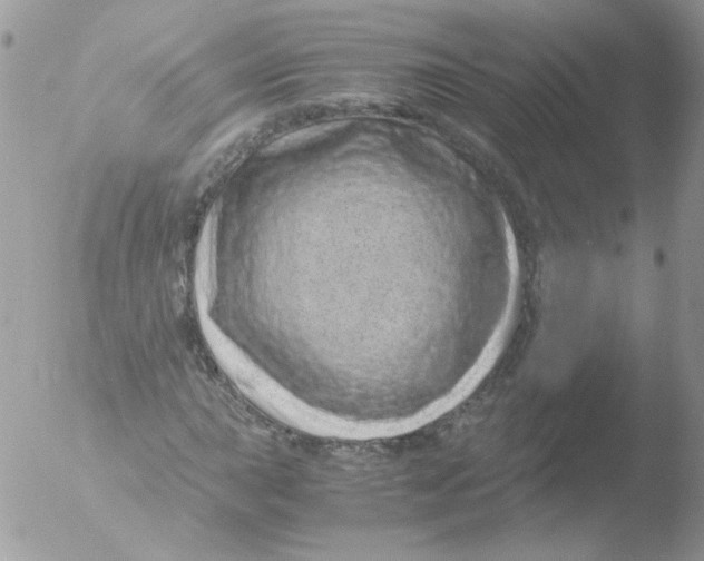 X0000051881015200507151907