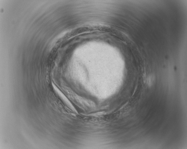 X0000051881016200507151907