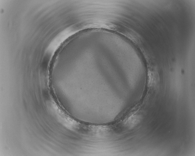 X0000051881020200507151907