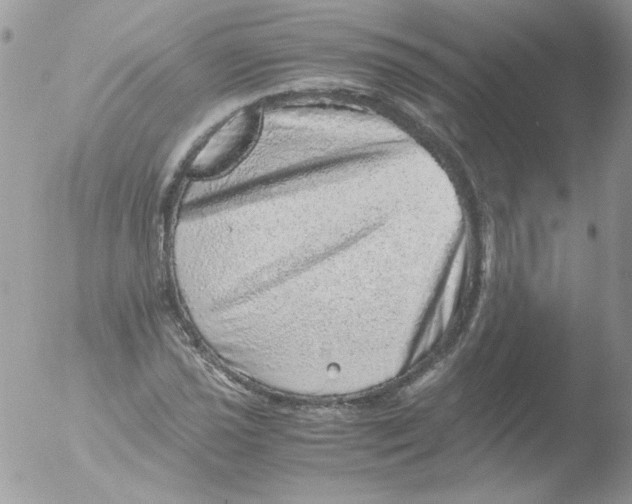 X0000051881021200507151907