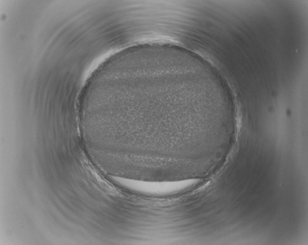 X0000051881022200507151907