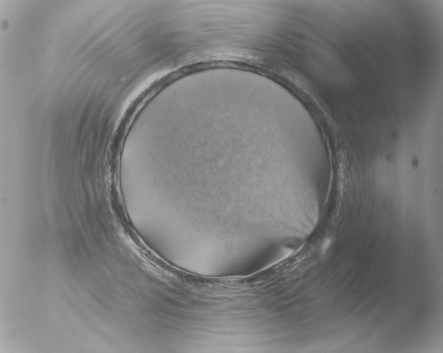 X0000051881024200507151907