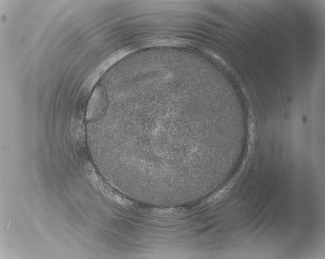 X0000051881025200507151907