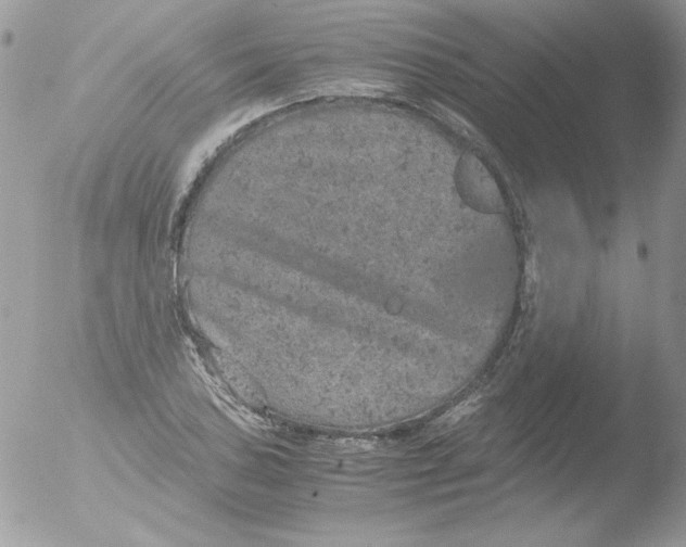 X0000051881027200507151907