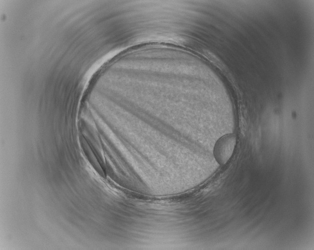 X0000051881028200507151907