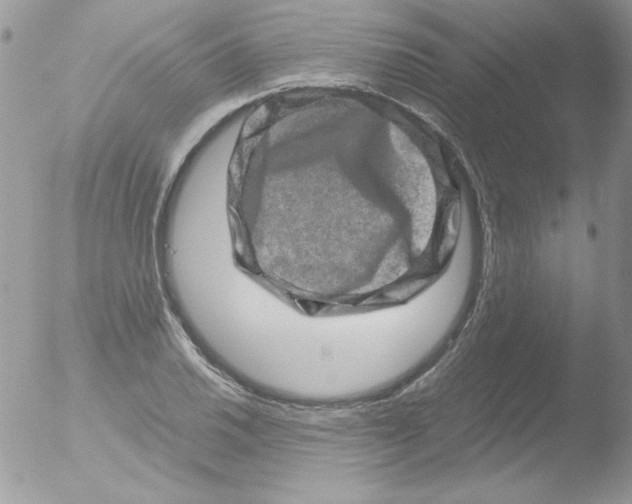 X0000051881030200507151907