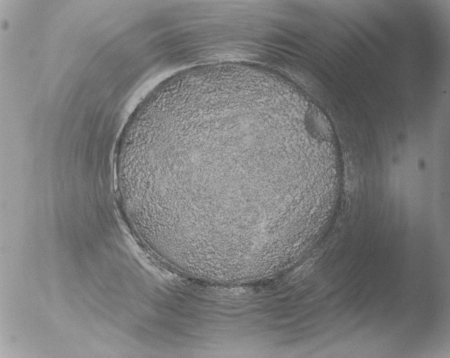 X0000051881031200507151907