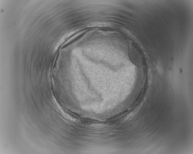 X0000051881033200507151907