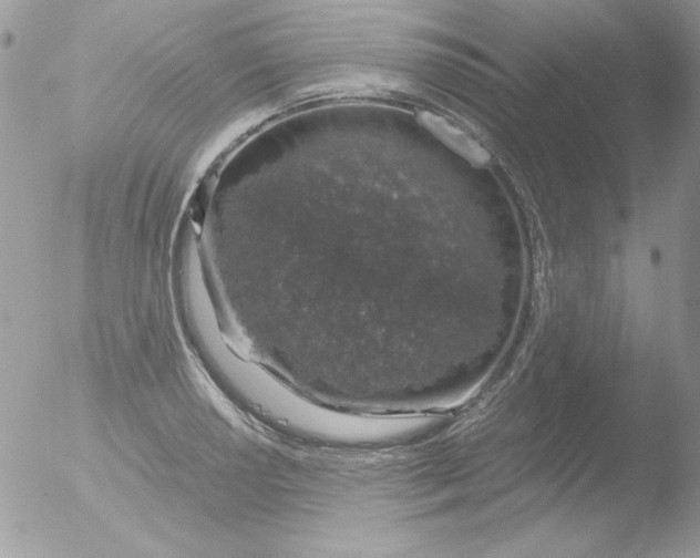 X0000051881034200507151907