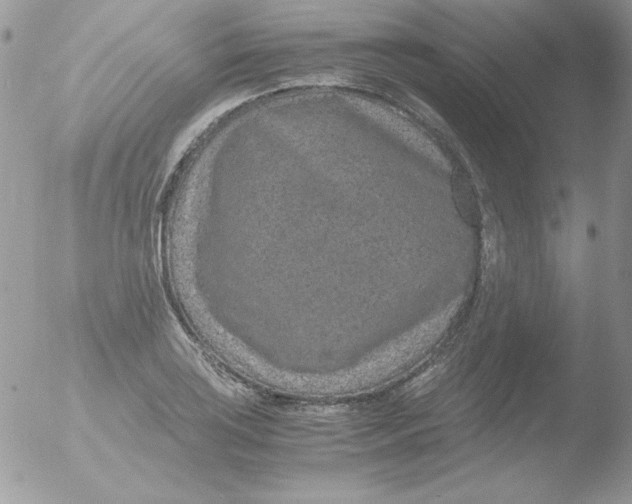 X0000051881035200507151907