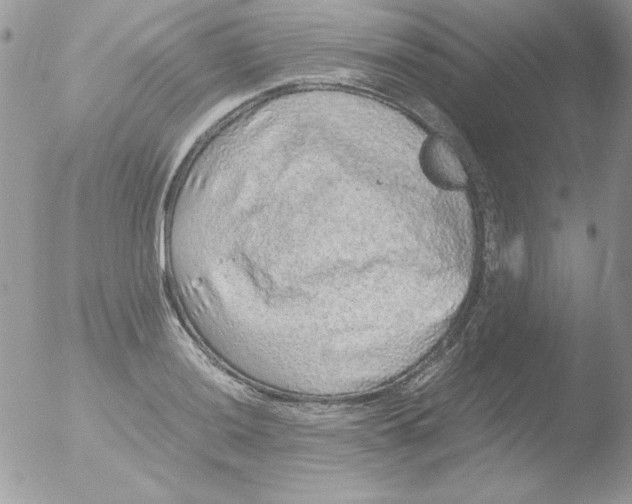 X0000051881036200507151907