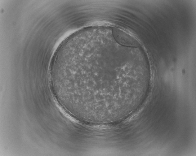 X0000051881037200507151907