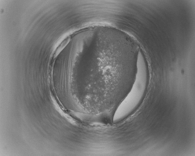 X0000051881038200507151907