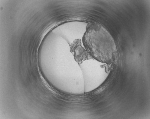 X0000051881039200507151907