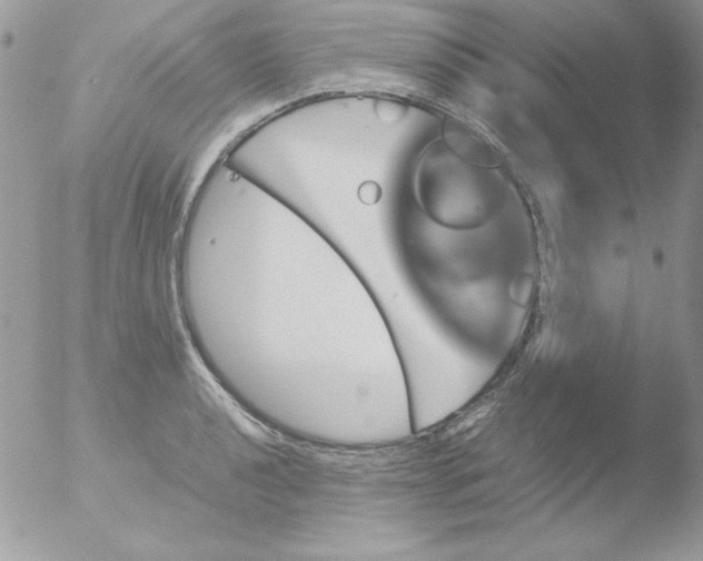 X0000051881040200507151907