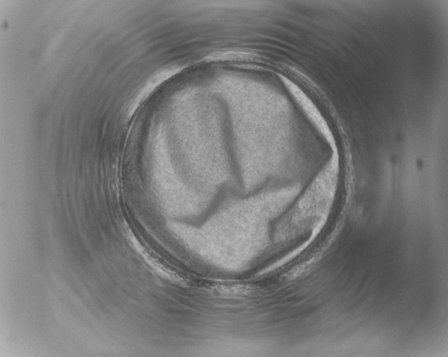 X0000051881041200507151907