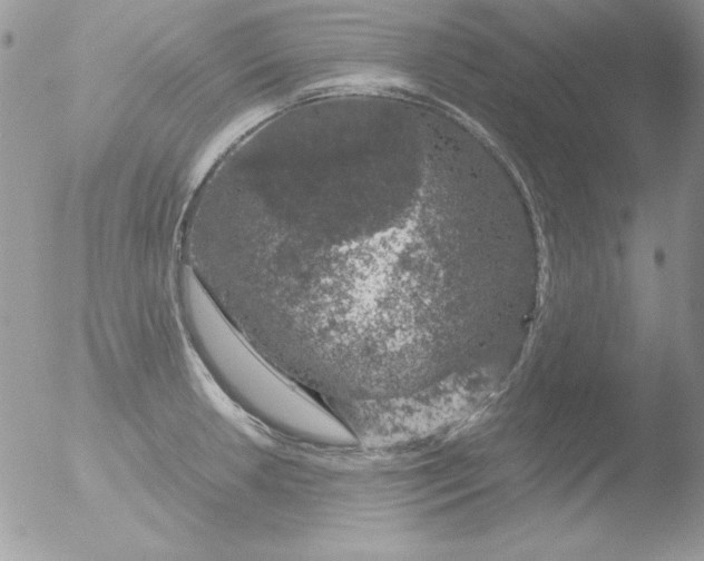 X0000051881042200507151907