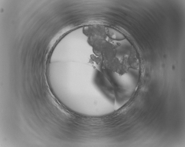 X0000051881043200507151907