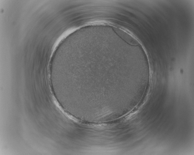 X0000051881045200507151907