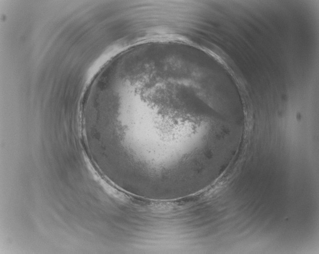 X0000051881046200507151907