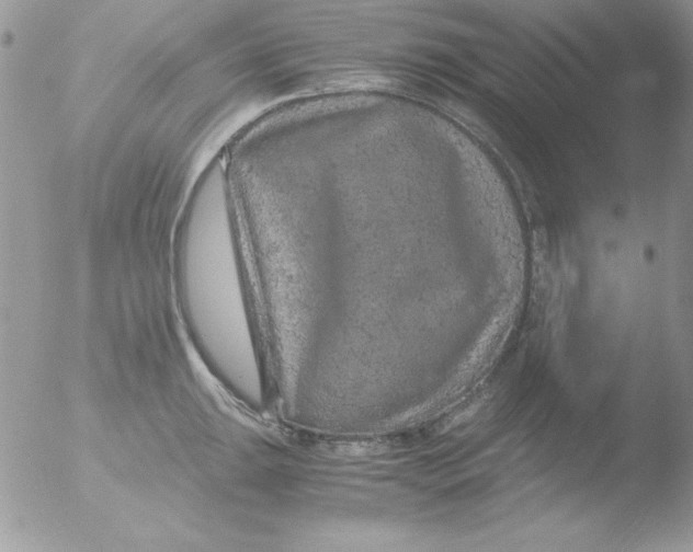 X0000051881047200507151907