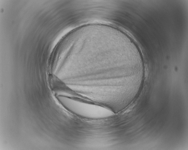 X0000051881048200507151907