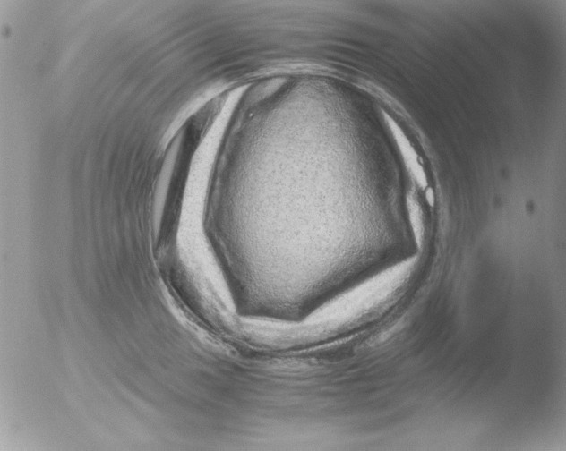 X0000051881049200507151907