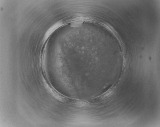 X0000051881050200507151907