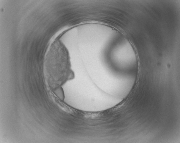 X0000051881051200507151907