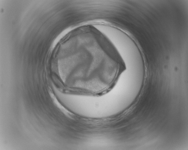 X0000051881054200507151907