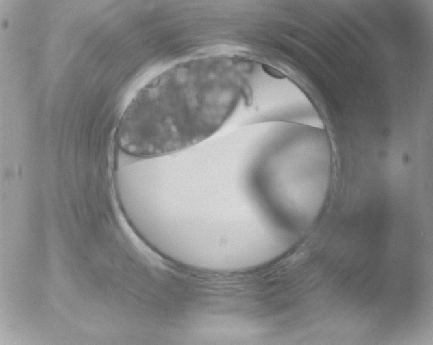 X0000051881055200507151907