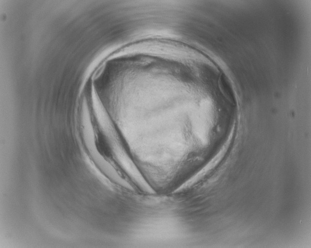 X0000051881056200507151907