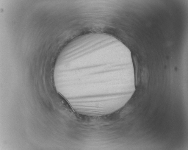 X0000051881057200507151906