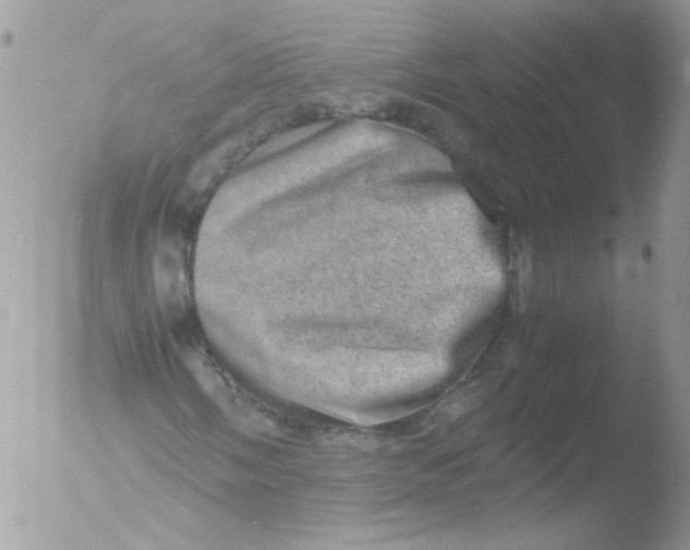 X0000051881058200507151906