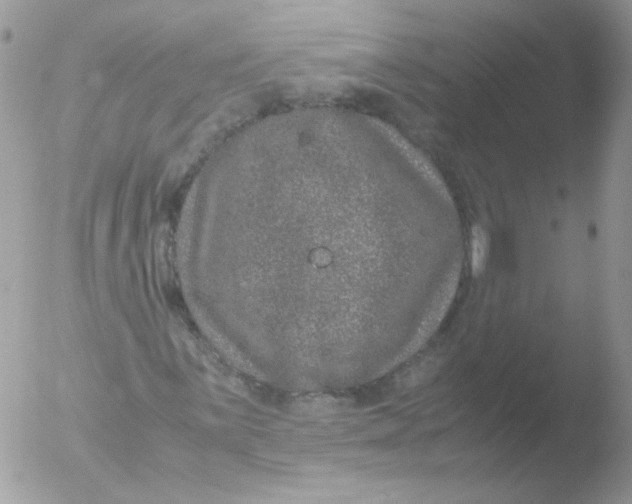 X0000051881059200507151906