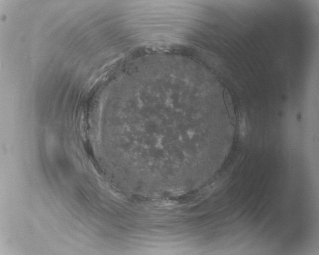 X0000051881060200507151906