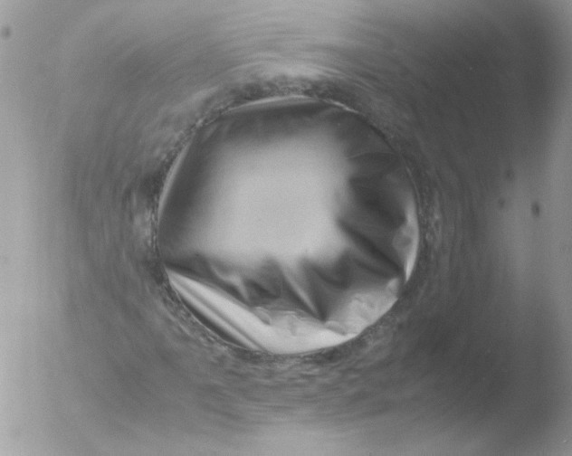 X0000051881061200507151906