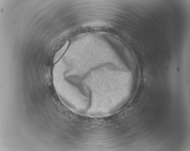 X0000051881062200507151906