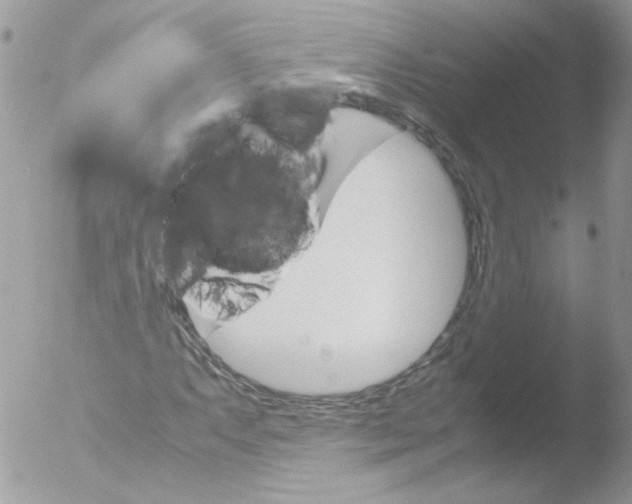 X0000051881063200507151906